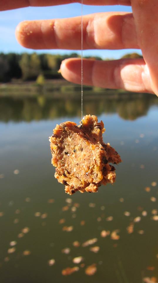 bouillette maison pate d'eschage carpodrome